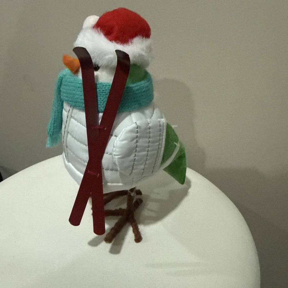Target Wondershop 2020 Bird Featherly Friends Powell Christmas Holiday Ski Ret